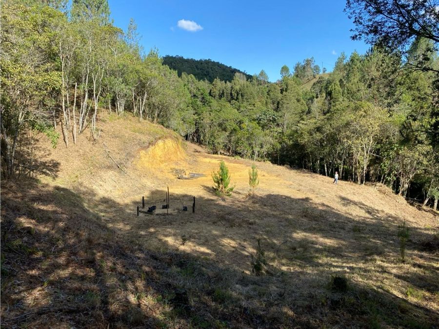 Residential Lot for Sale in Altos del Escobero